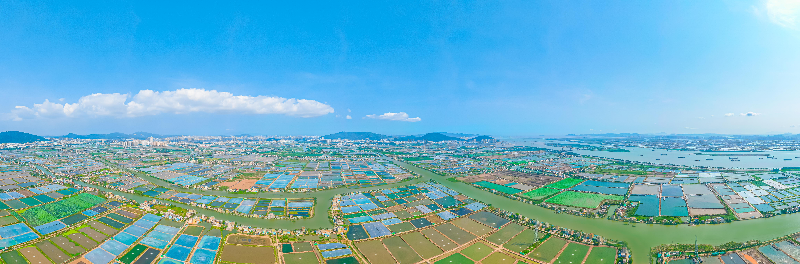 新合村.jpg