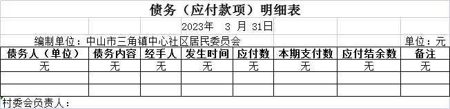 债务（应付款项）明细表.png