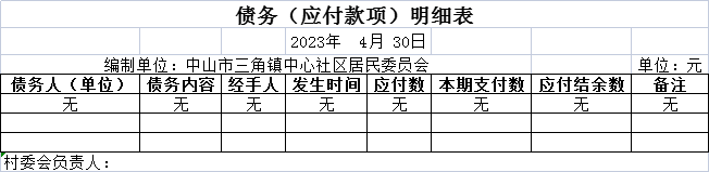 债务（应付款项）明细表.png