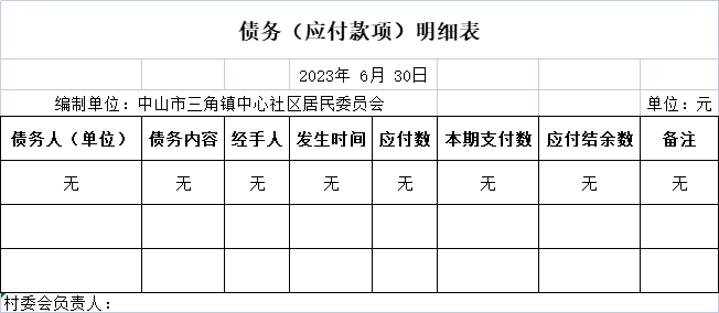 债务（应付款项）明细表.png