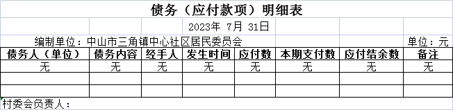 债务（应付款项）明细表.png