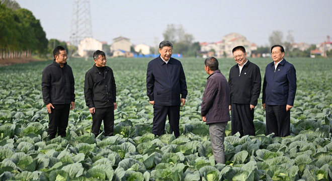 习近平在湖北考察调研