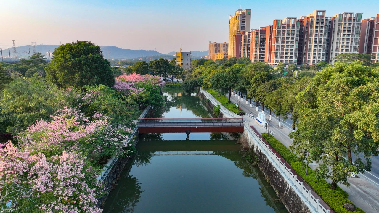 奋进新征程①丨水污染治理显成效 南朗街道水清岸绿生态美