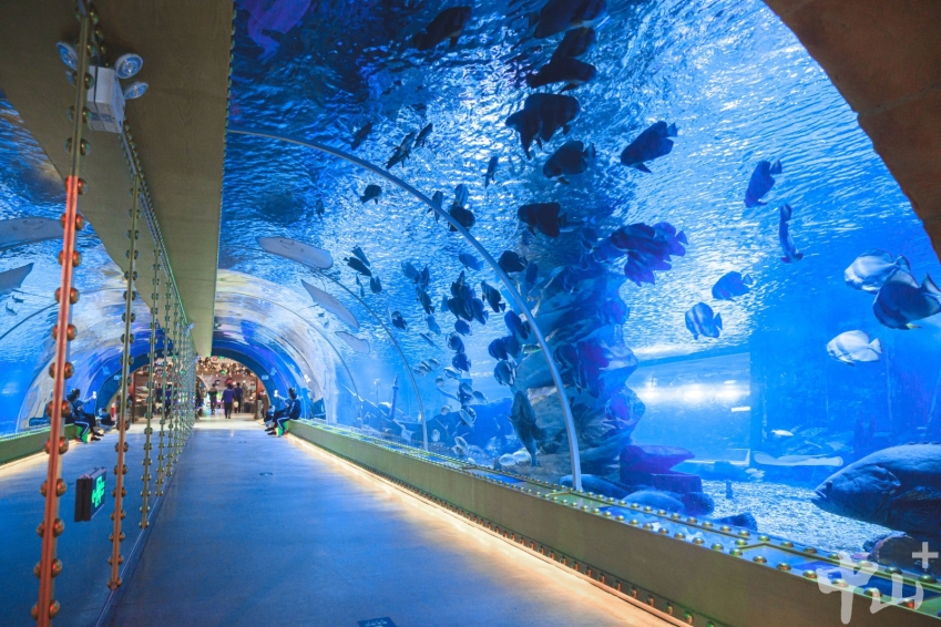 The Hengyaun Ocean Cube in Dongguan. [Photo provided to Zhongshan Daily]