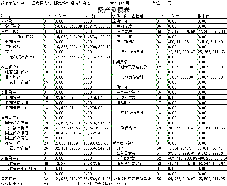 资产负债表2021欧阳图片